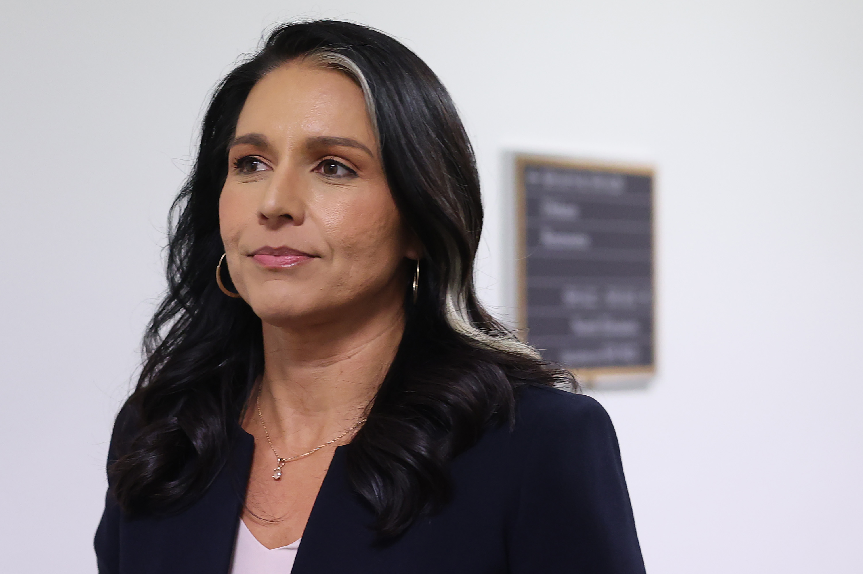 ExBritish Spy Chief Raises Critical Question About Tulsi Gabbard