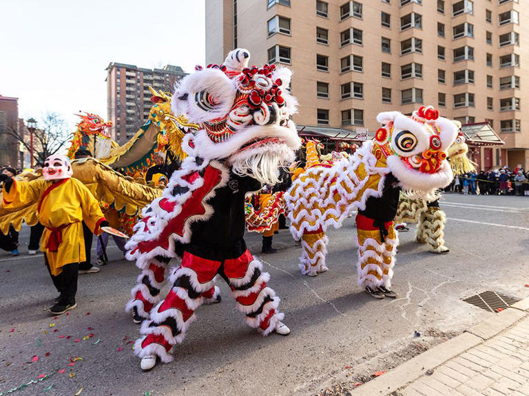 chinese new year meaning