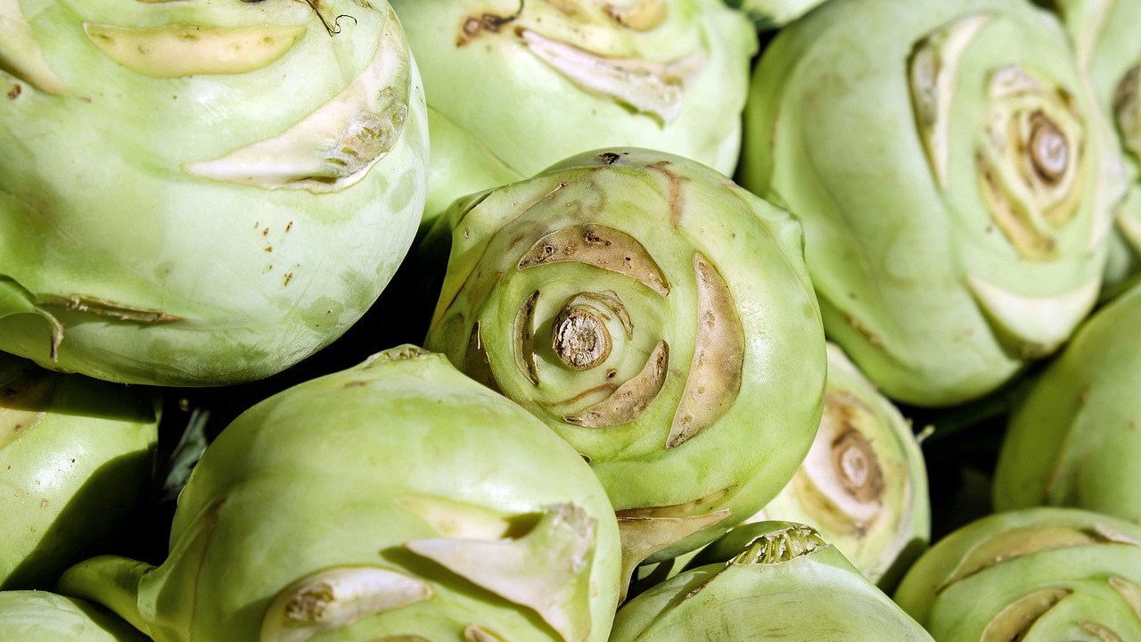 Kohlrabi lagern: So hält er sich länger