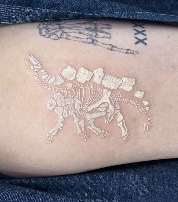 #2 White Stegosaurus Fossil