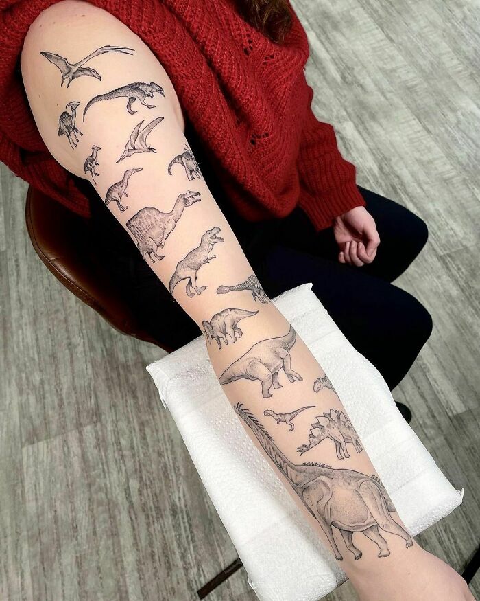 #7 Dinosaur Sleeve
