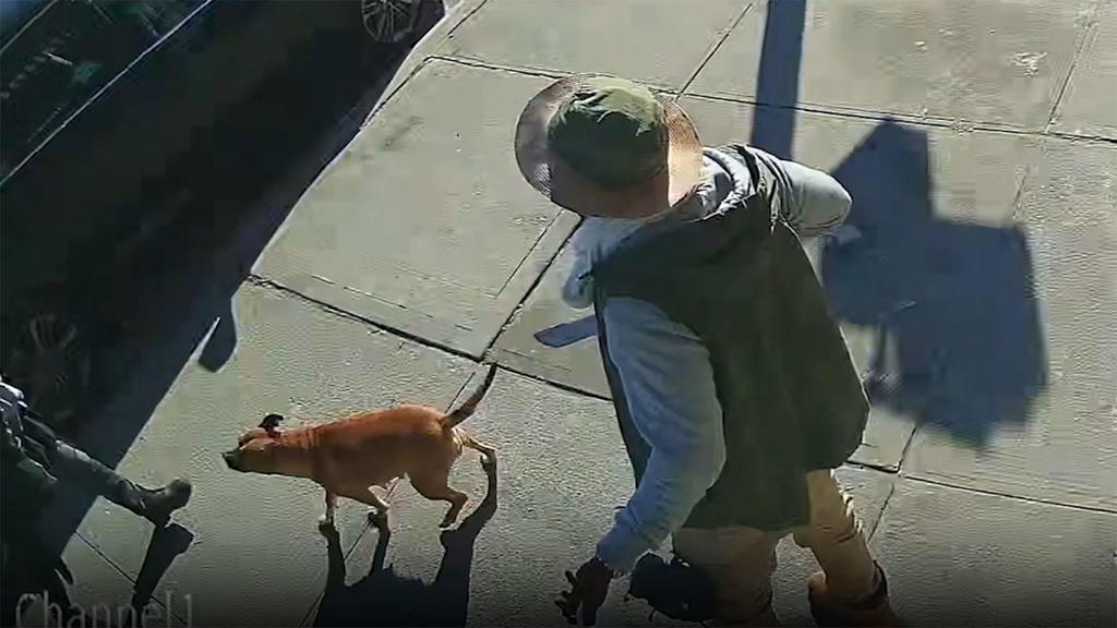 Bronx man defending his dog gets 4 fingers chopped off in machete attack(00)