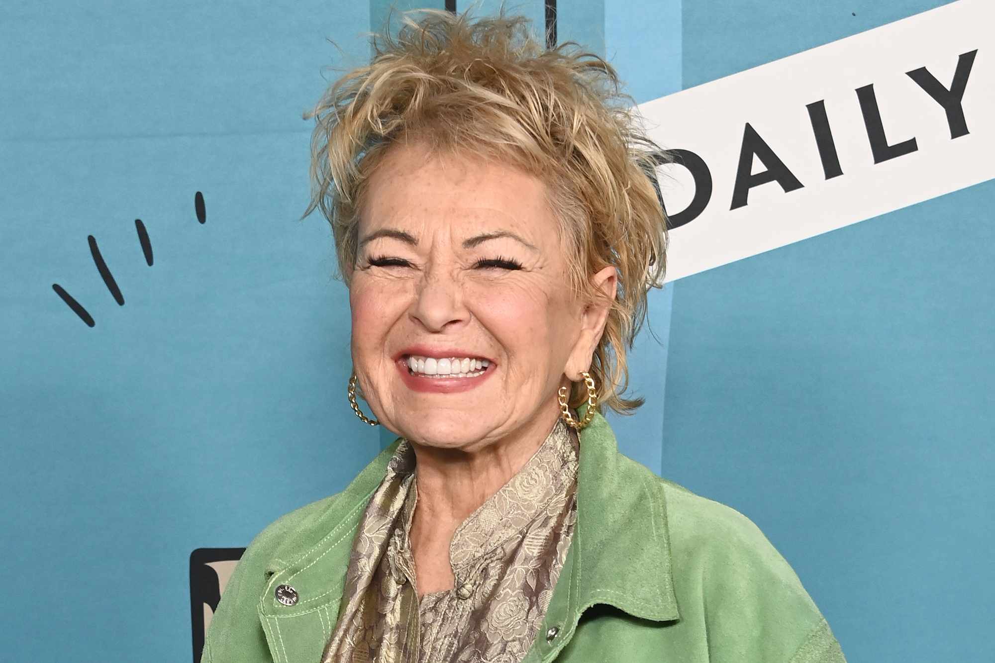 Roseanne Barr wants to return to TV with new show featuring 'offensive(02)