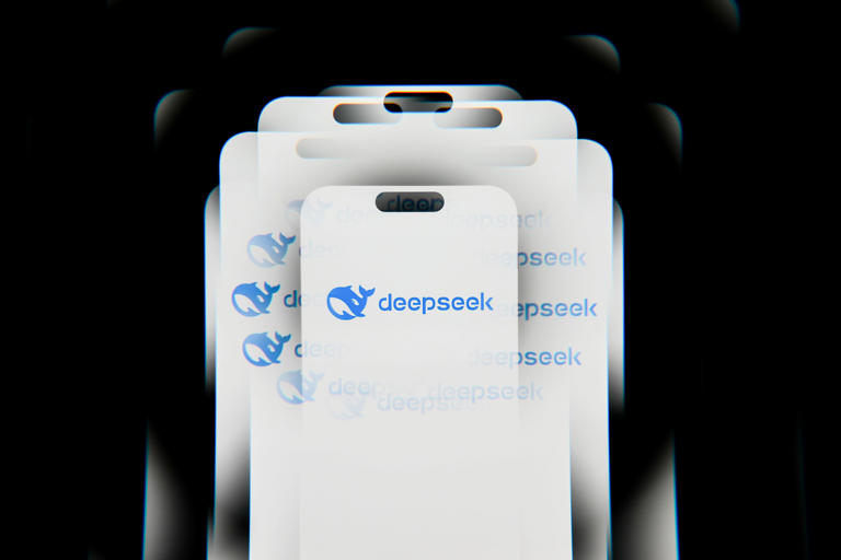 Deepsekk