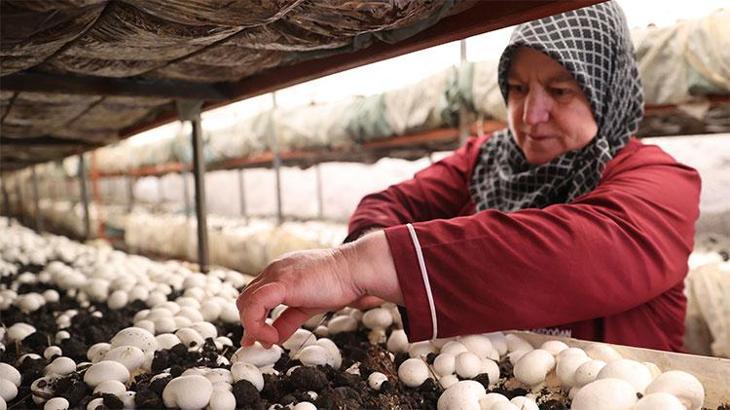 Nevşehir'de kooperatif kuran kadınlar üretime başladı! 'Yapabilir miyiz diyorduk, başardık'