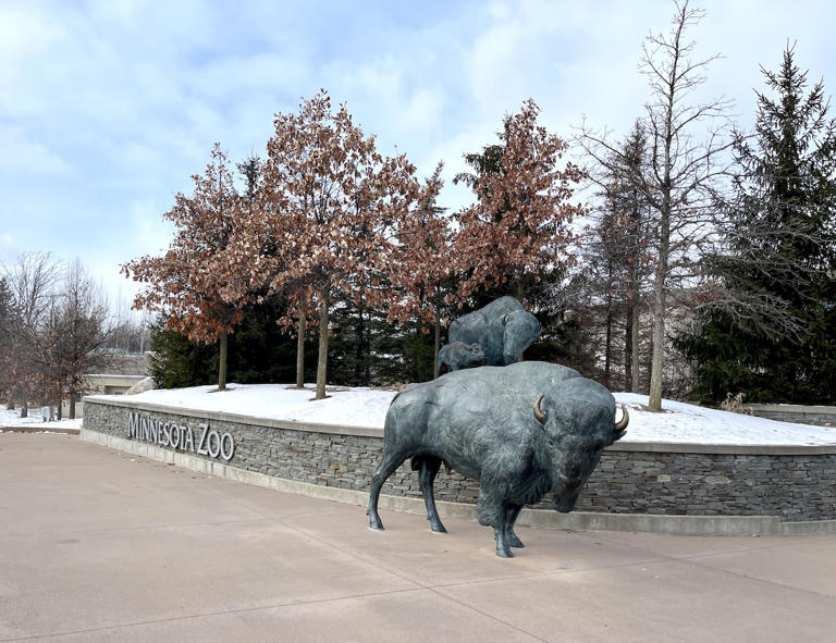Winter at the Minnesota Zoo