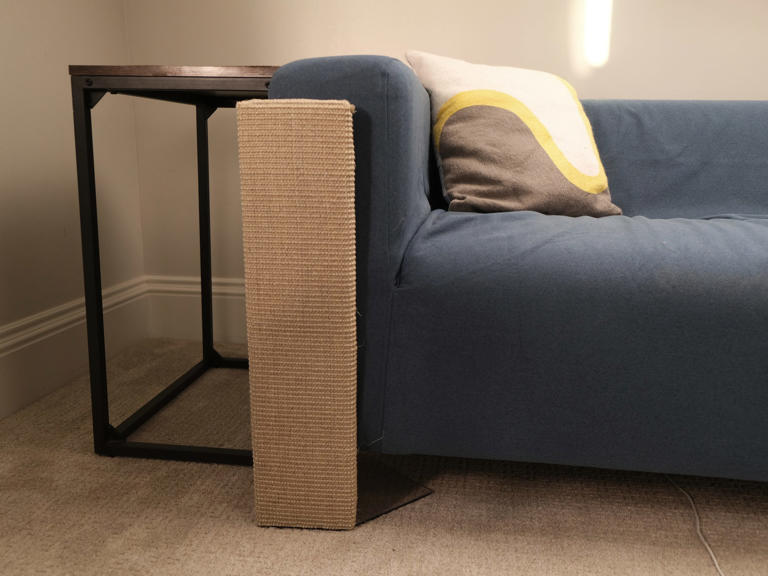 The best products to stop cats from scratching your furniture, tested ...