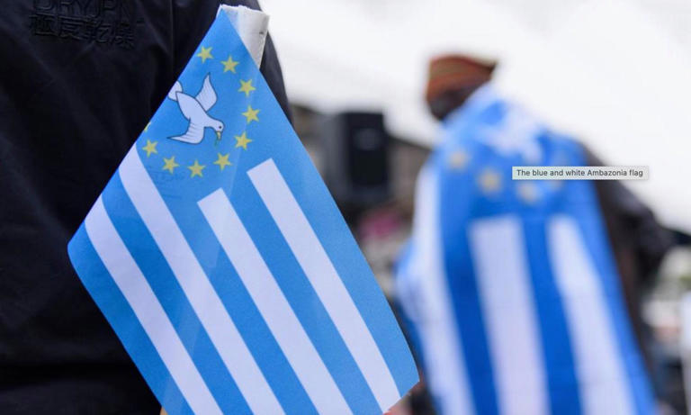 The flag of Ambazonia, the anglophone breakaway state in north-west and south-west Cameroon. Photograph: Christian Spicker/Imago