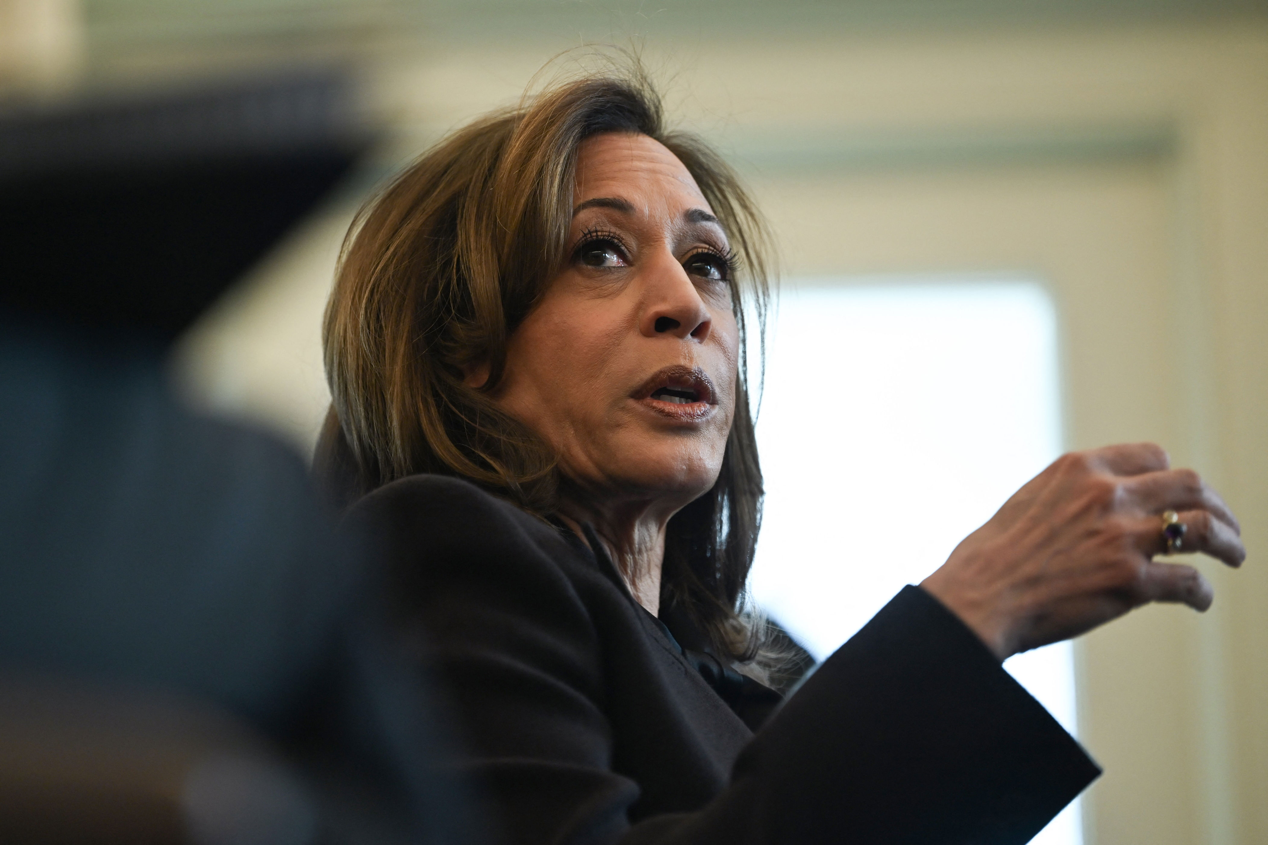 US Vice President Kamala Harris speaks during a White House briefing on the federal response to the Los Angeles wildfires in Washington, D.C., on January 10, 2025. Harris said climate change has exacerbated such events (AFP via Getty Images)