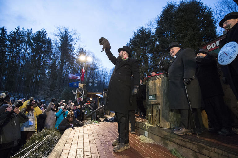 Groundhog Day 2025 How to watch what Punxsutawney Phil sees