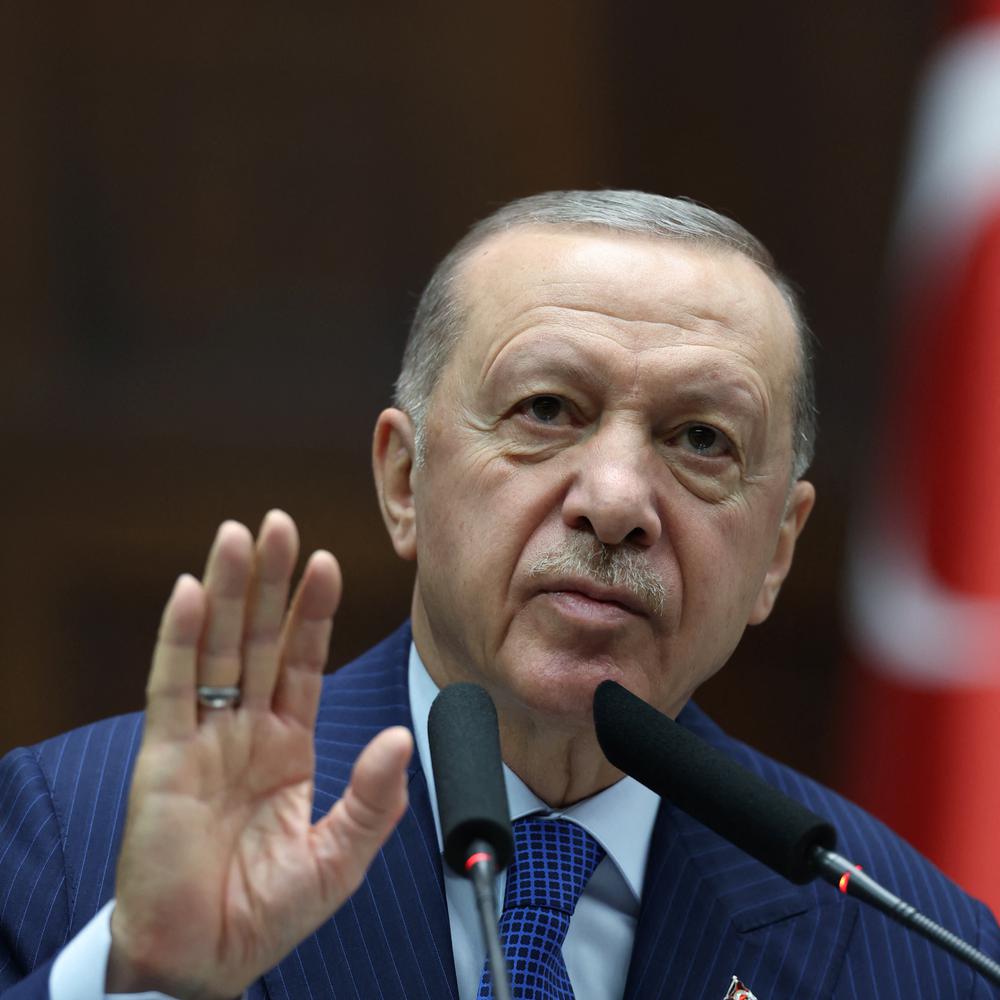 Kampf gegen kurdische Organisationen: Erdogan lobt „Fortschritte“ bei ...