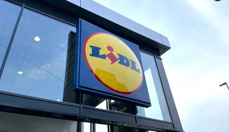Lidl verkauft heute ein Autozubehör für 19,99 Euro, das ein großes