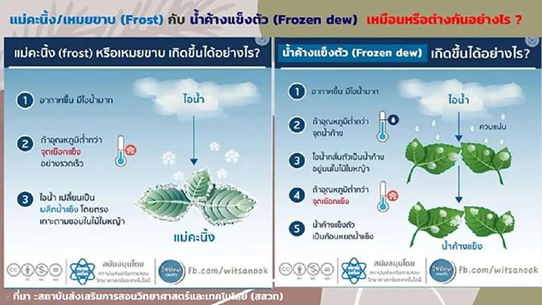 เฉลยแล้ว หิมะตกเมืองไทย จ.เชียงใหม่ แท้จริงคืออะไร หลังหลายคนเข้าใจผิด