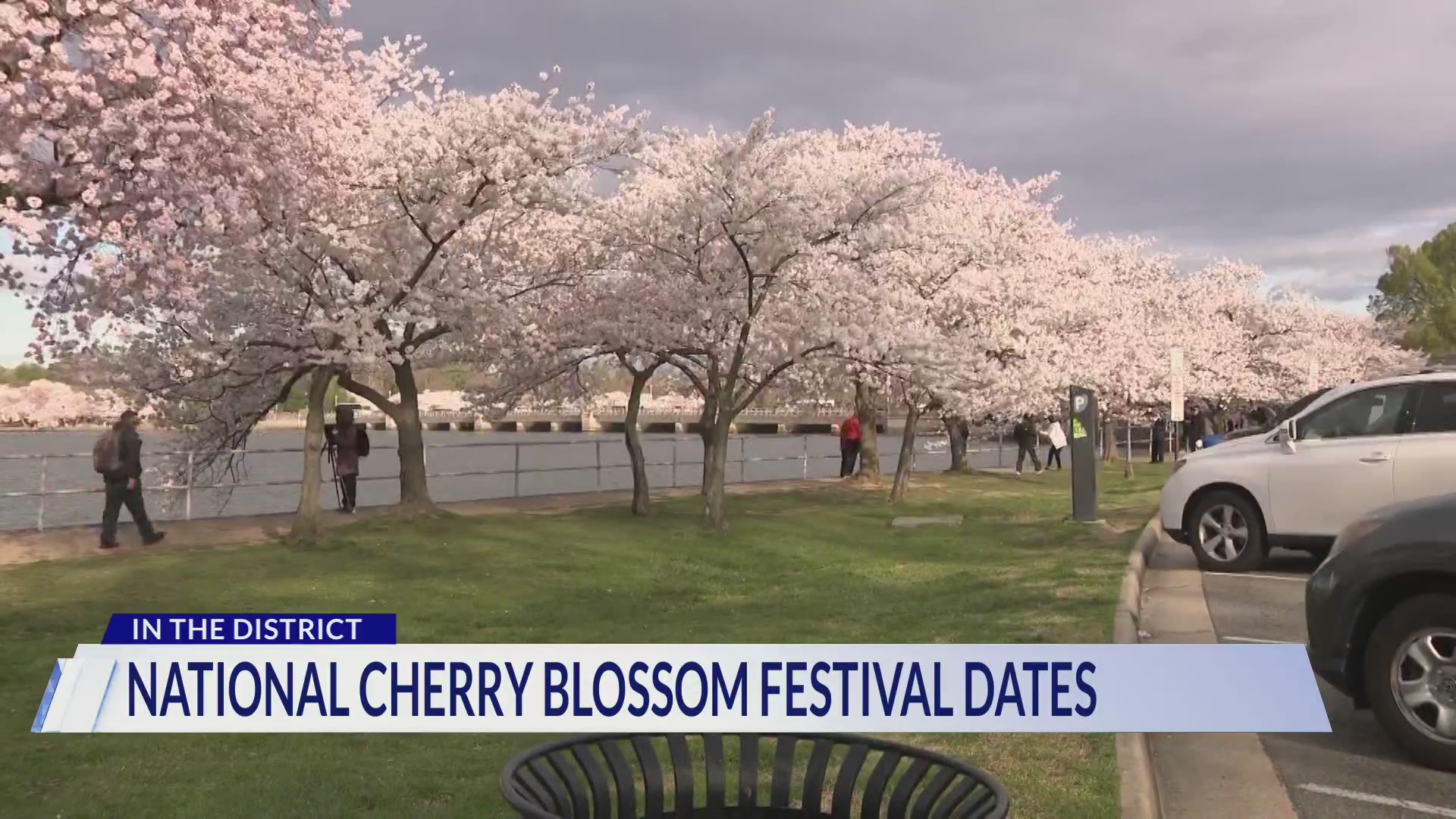 Dates announced for DC’s beloved Cherry Blossom Festival, parade
