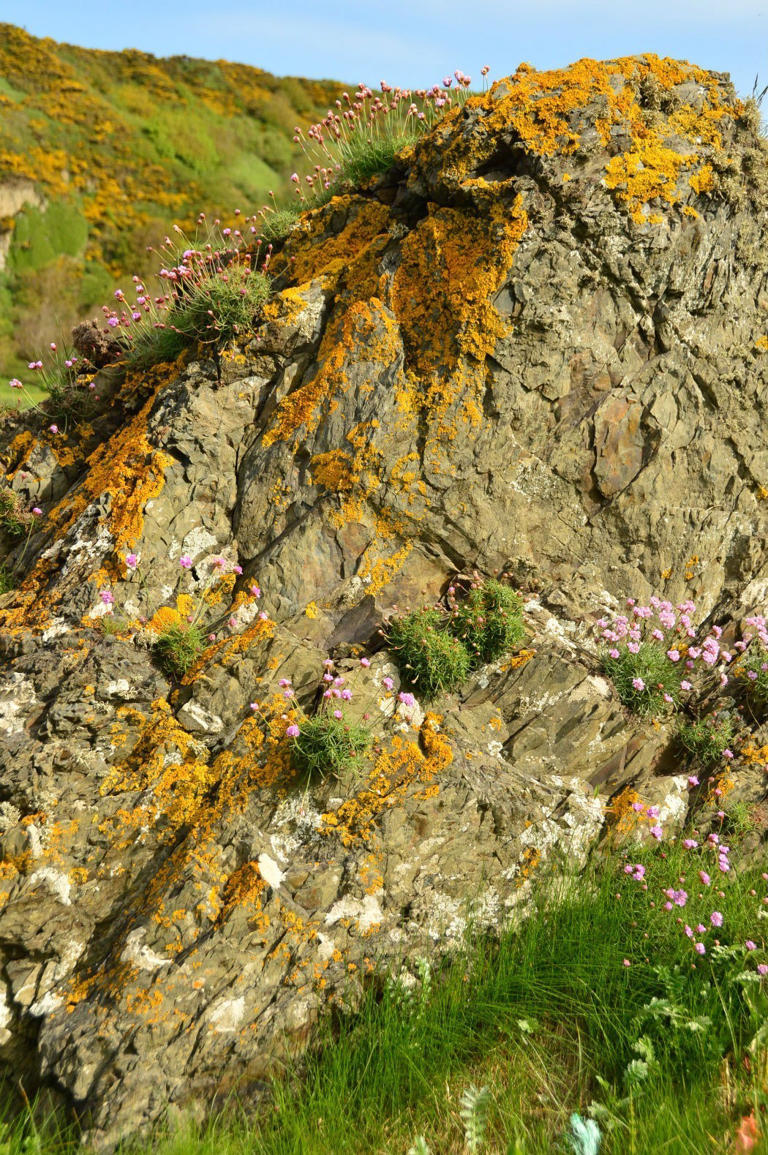 How many of Scotland’s most beautiful places have you actually seen?