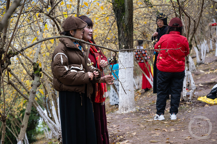 �����ϡ���283�� | ����������Ӱ������Ʒչ����ȽС����Ʒ