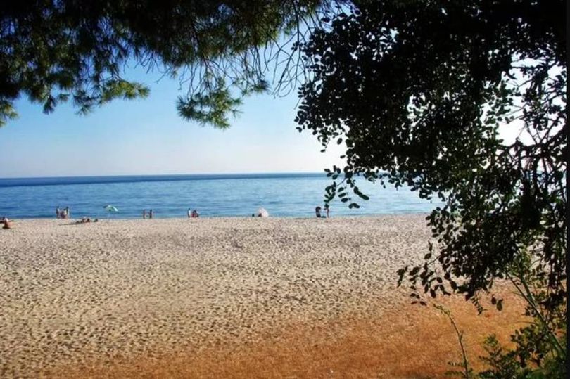 British Expats In Portugal blown Away And Warn we Just Can t Believe It 