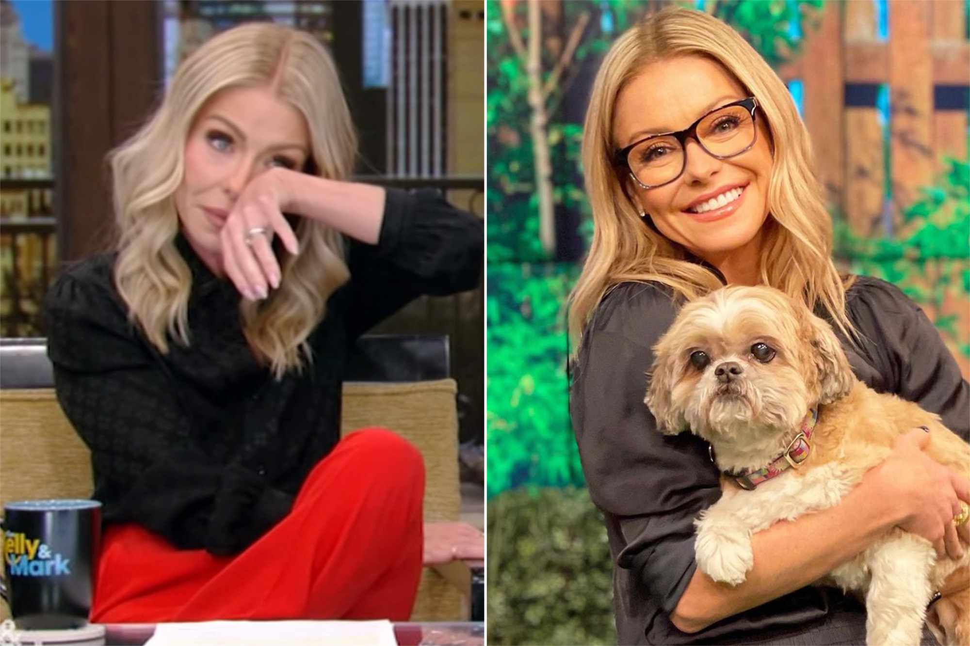 Kelly Ripa breaks down crying on “Live” over beloved dog Chewie's