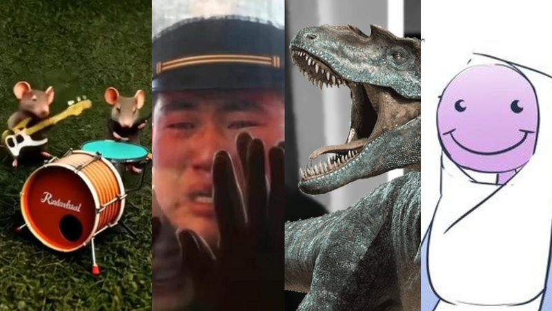 The Weekly Meme Roundup: A Talented Band Of Mice, The U.S. TikTok Ban ...