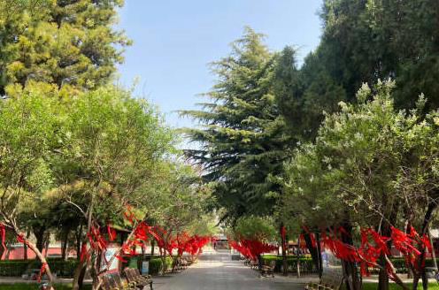 河北一座寺院，藏着六个全国之最，鲁迅称一尊塑像为东方美神！