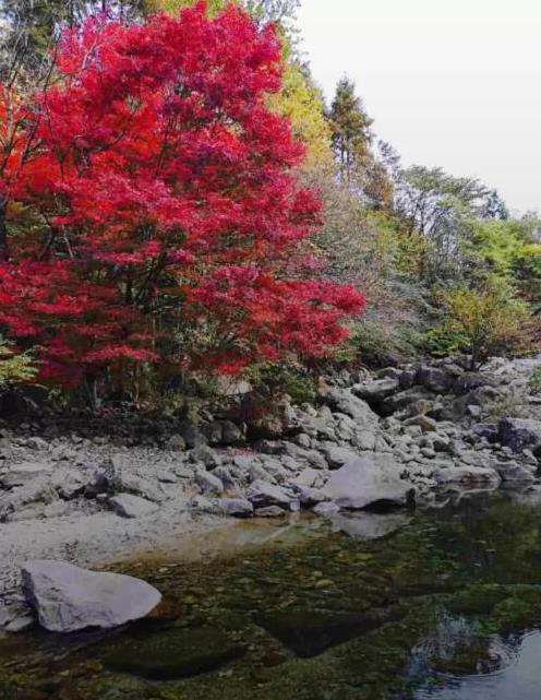 在湖北省，有四大“名山”，你们觉得哪个名山最值得一游呢？