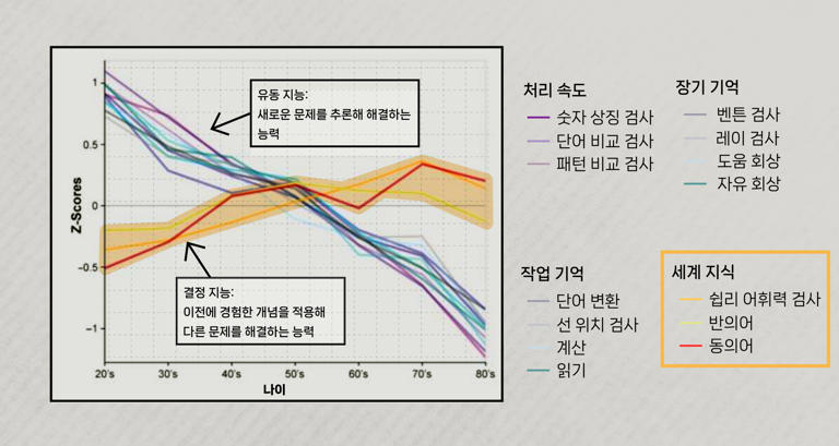 나이가 들어도 유지되는 지능도 있다.<BR> 결정지능이라는 지혜와 연륜의 영역이다.<BR> 이하 그래픽 이가진·박지은