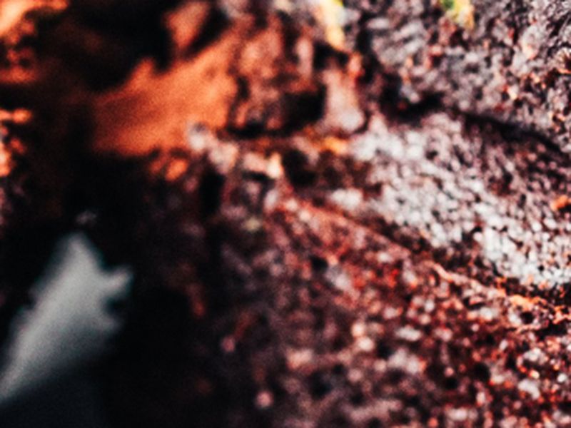 Martha Stewarts Geheimrezept: Die schokoladigsten Brownies der Welt