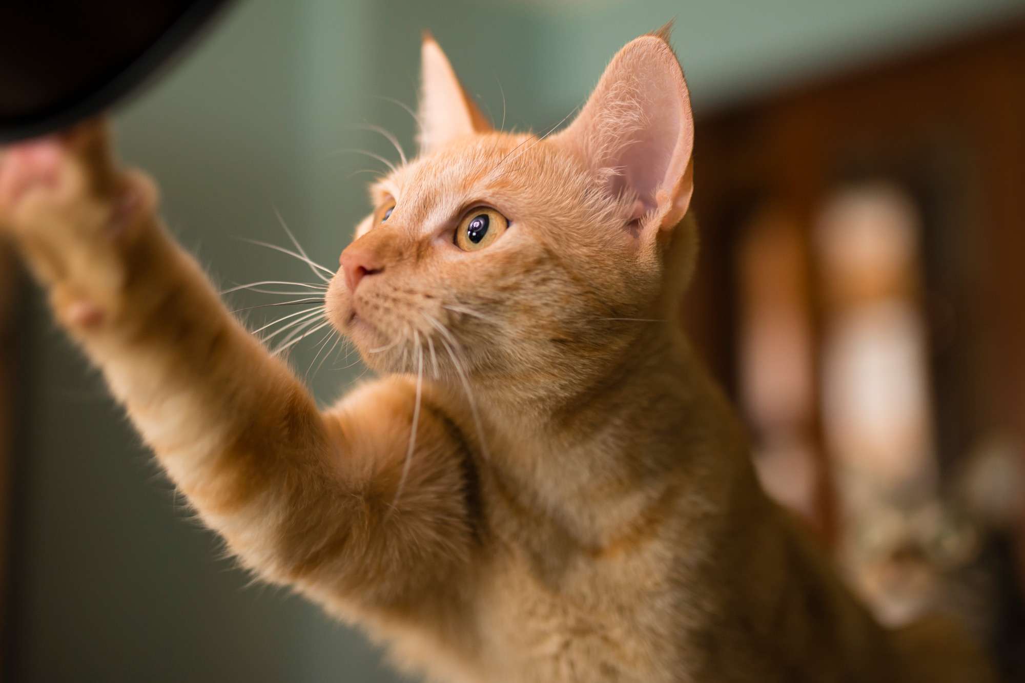 Woman Says Her Roommate Thinks She’s ‘Heartless’ for Not Accepting