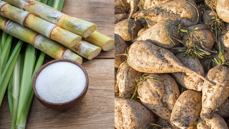 Sugar beet vs sugar cane