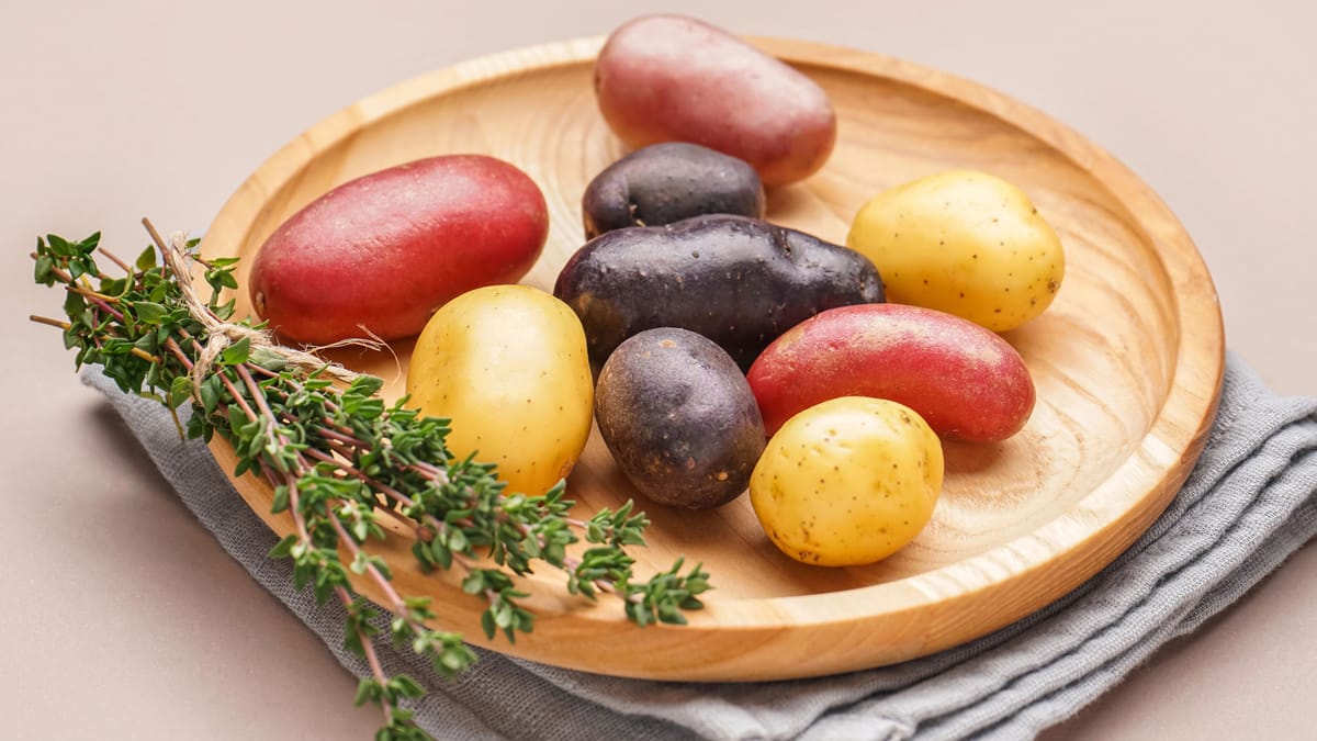 Lila Kartoffel: Sorten, Anbau, Geschmack und Verwendung
