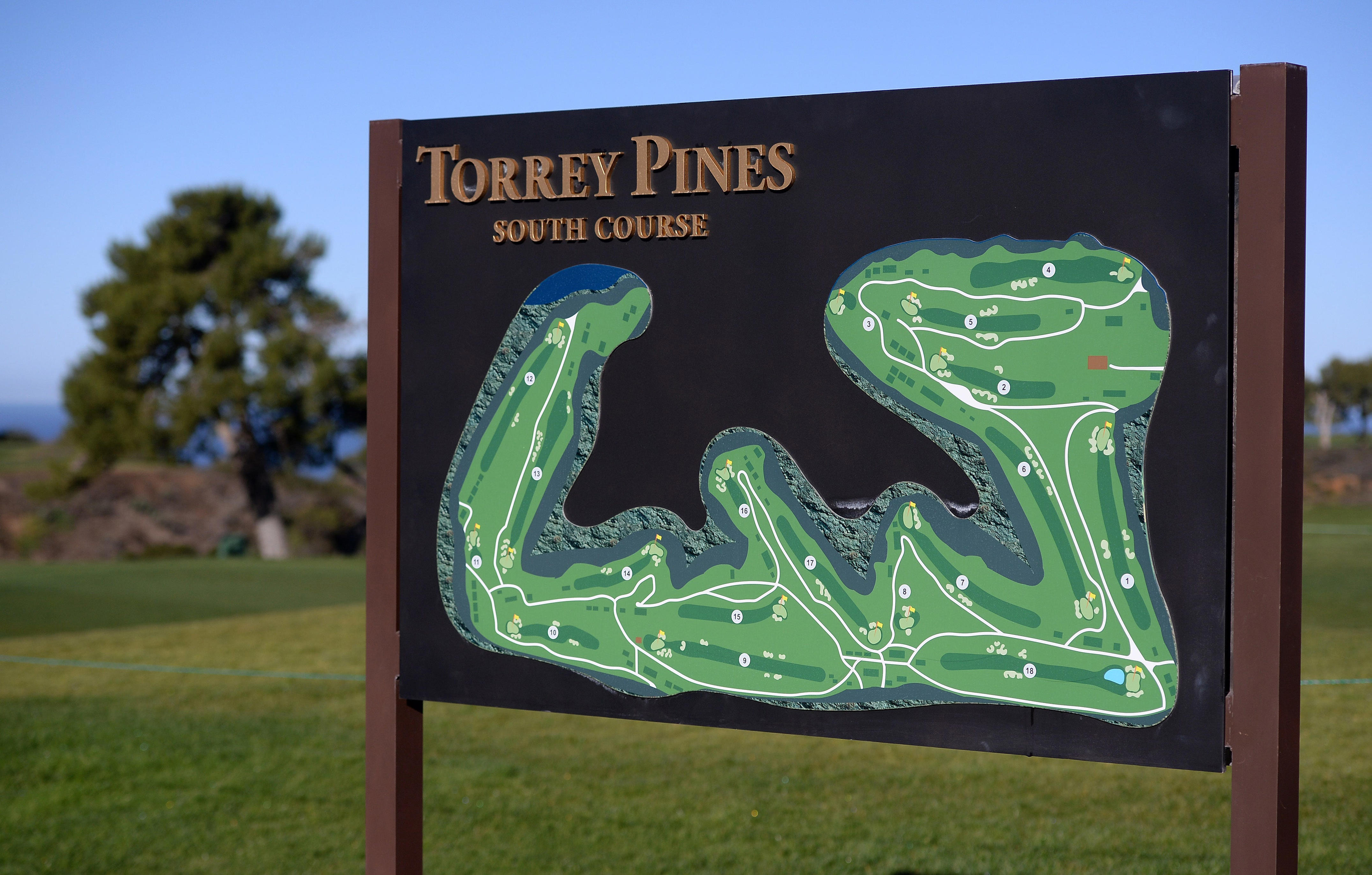 Can you play Torrey Pines? How much does it cost?