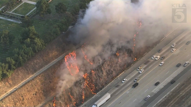 Firefighters extinguish brush fire in L.A.’s San Fernando Valley