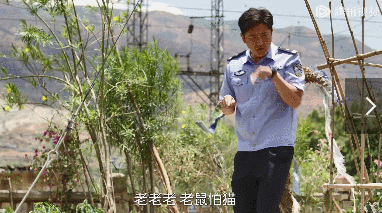 口碑崩了！郭京飞+陈数也救不了