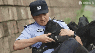 口碑崩了！郭京飞+陈数也救不了