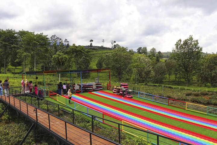 Goalpara Tea Park. Foto: Shutterstock