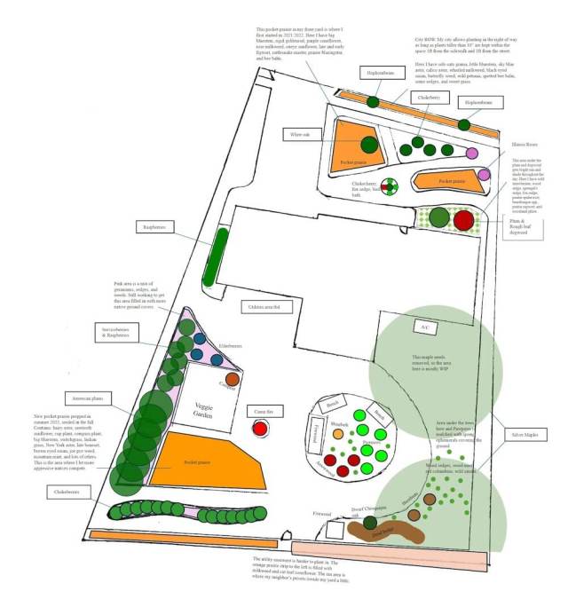 Homeowner shares incredible landscaping - AA1xzpdt.img