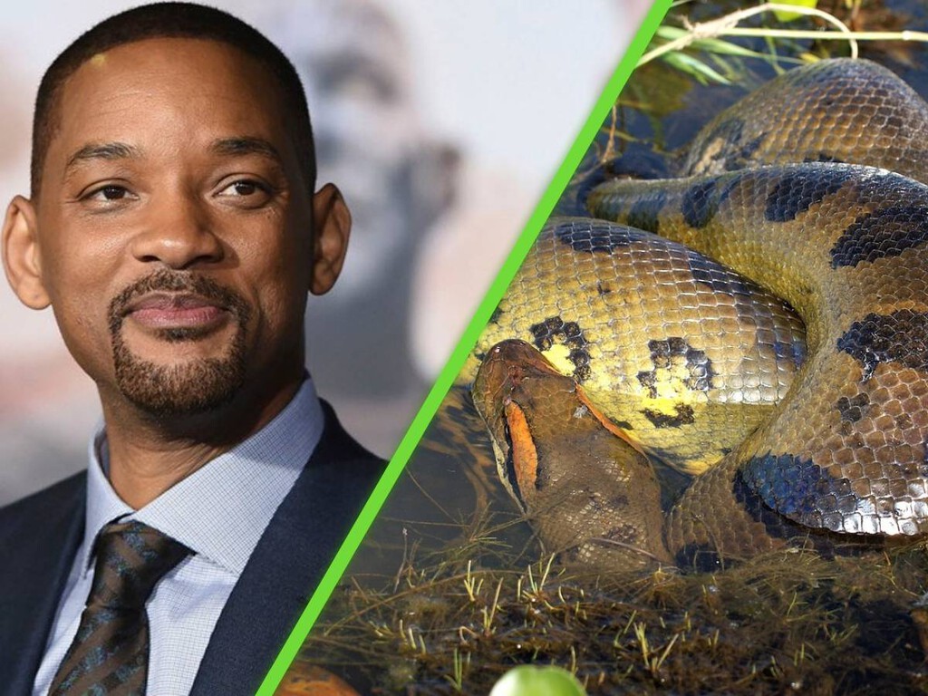 El tamaño era increíble“: la historia de cuando Will Smith descubrió la  serpiente más grande del mundo, image size:1024x768