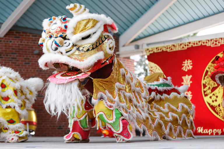 chinese new year celebration tampa 2025