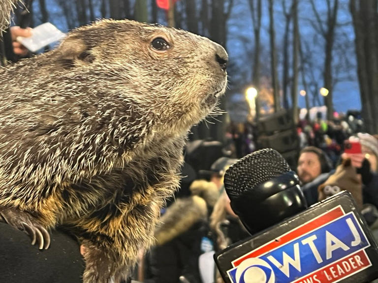 groundhog day history predictions