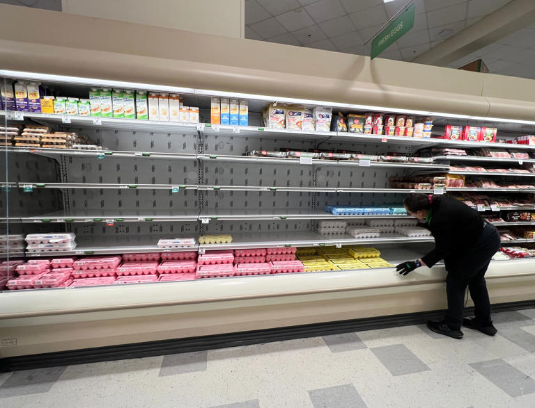 A grocery store worker rearranges items in the depleted egg section of a grocery store last week in Miami, Florida. Millions of egg-laying hens have been killed due to the surge of bird flu across the U.S. (Getty Images)