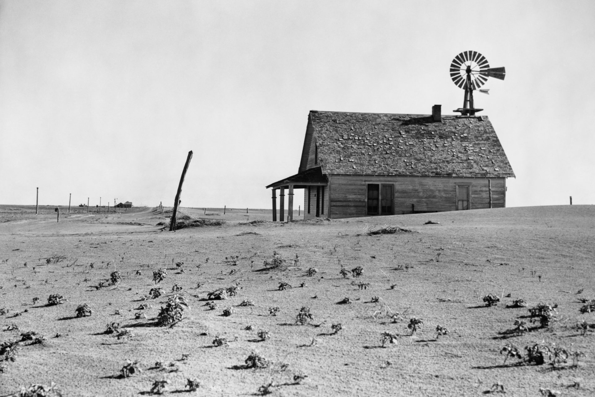 Dappere nieuwe wereld