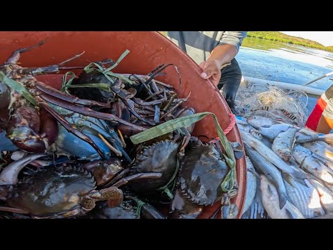 You Won’t Believe How Many We Caught! 😱
