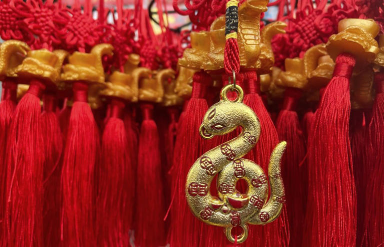 Lunar New Year 2025 Year of the Snake What it means for your zodiac sign