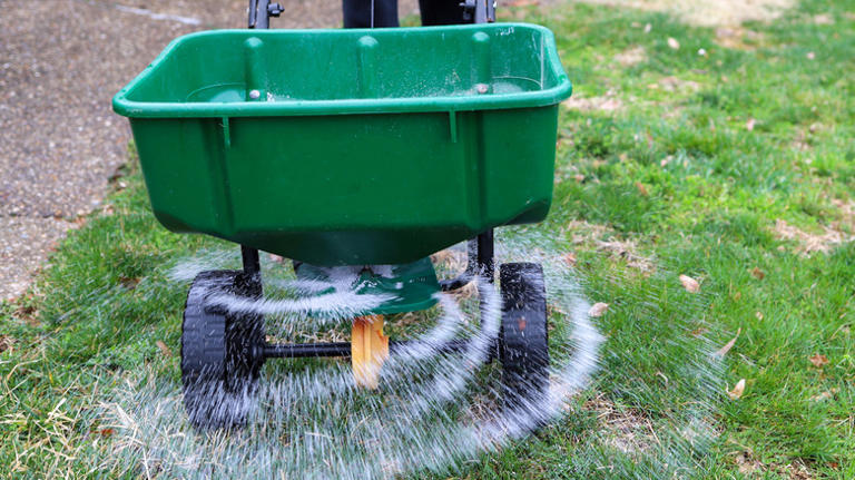 Fertilizing the lawn with a broadcast spreader