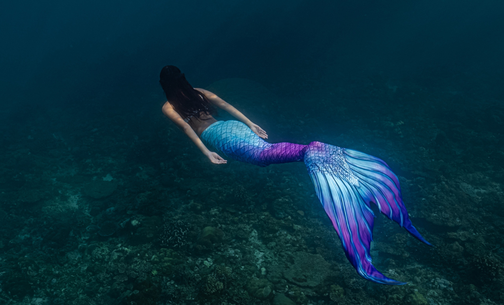 The world's most unusual products