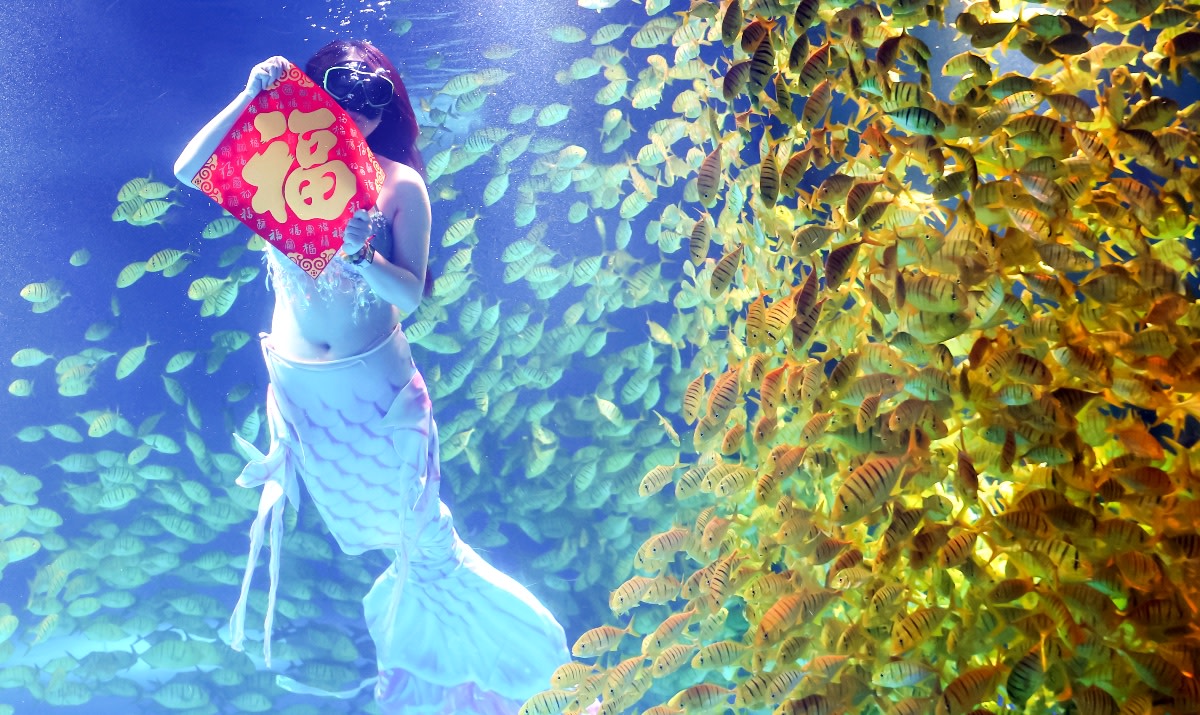 Giant Fish Bites Head of Aquatic Performer Dressed as Mermaid(02)