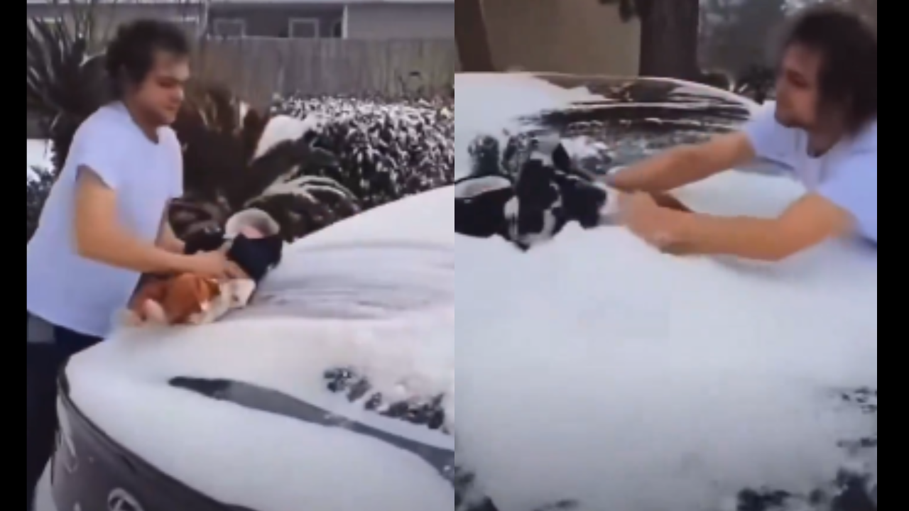 us man uses 3 month old baby to wipe snow off his car in texas; viral tiktok video leads to legal trouble