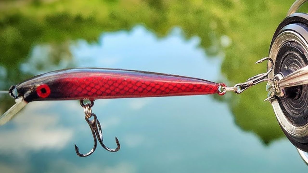 Stop fishing this bait where it doesn’t belong