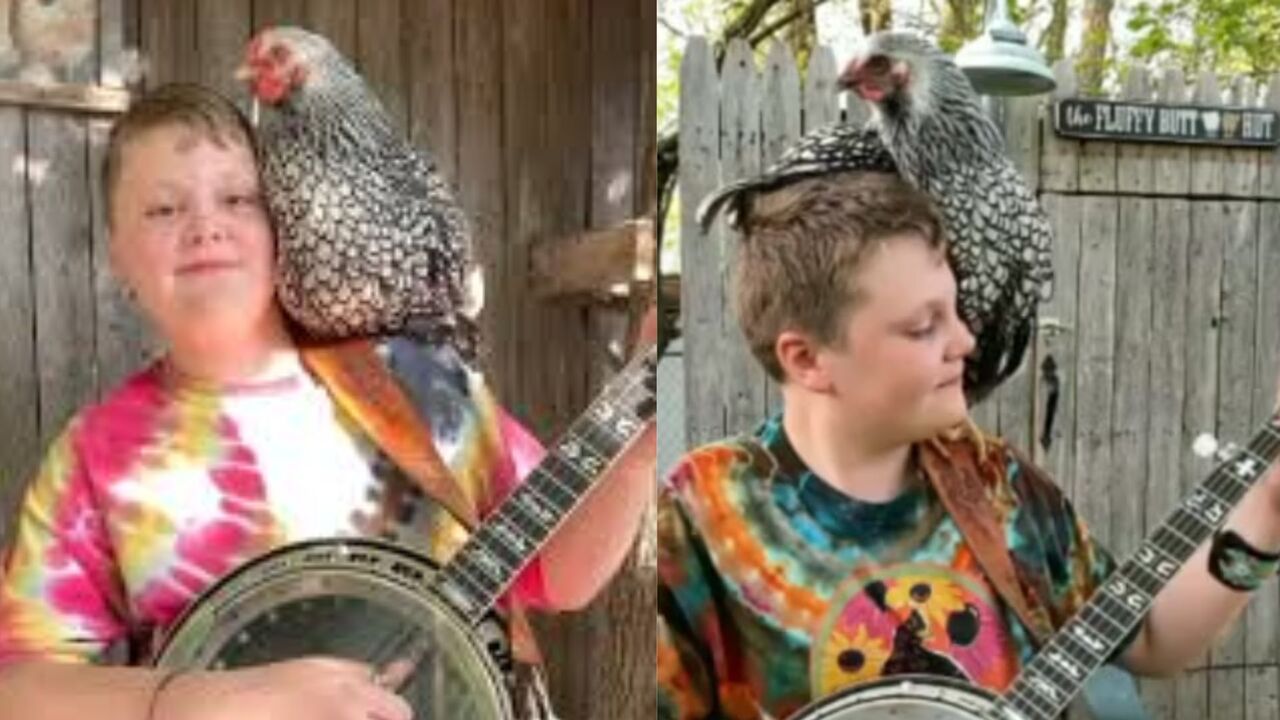 12yearold banjo player goes viral with furry sidekick