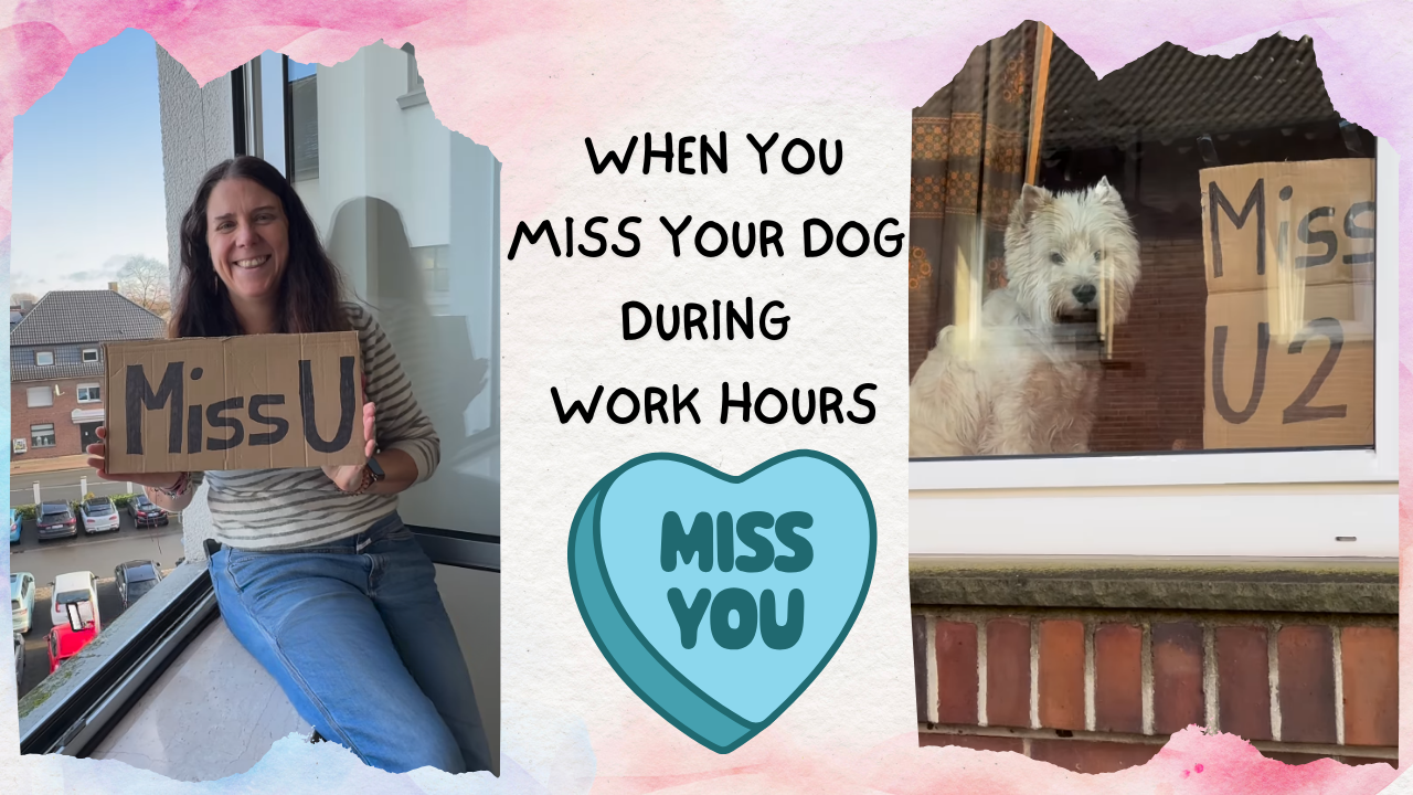 If Your New Landlord doesn't Allow Pets, What would You do?